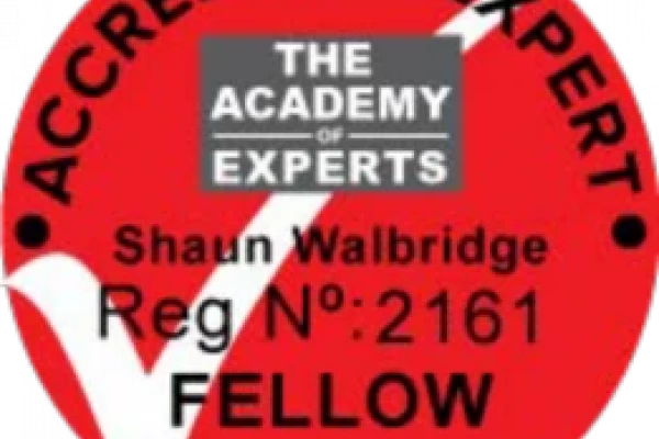 The Academy of Experts - a personal perspective